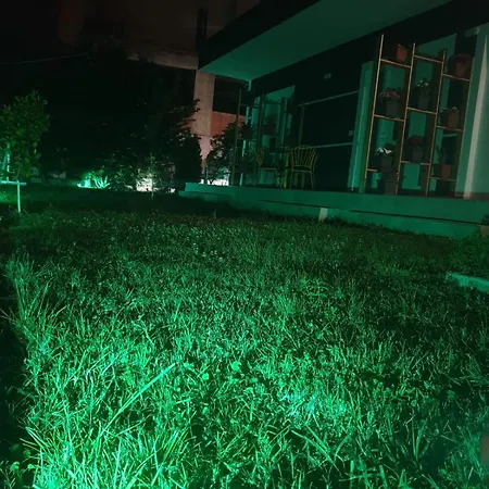 Apartment Alis
